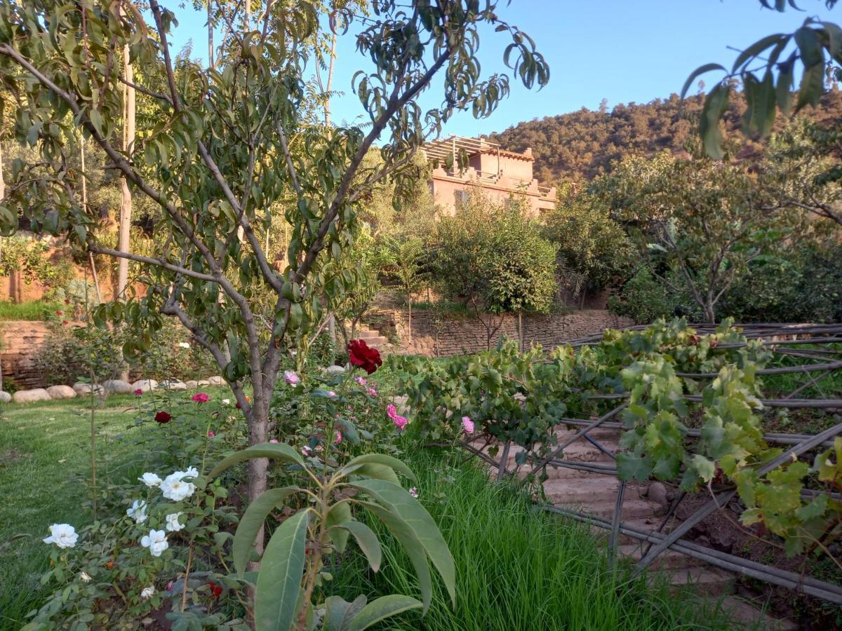 Ourika Timalizene Le Jardin Des Delices Hotel Tamezindert Exterior photo